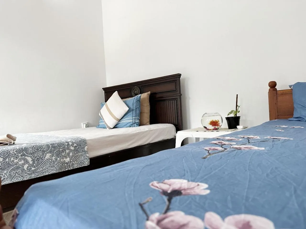 Sea Breeze Guest House Negombo Sri Lanka